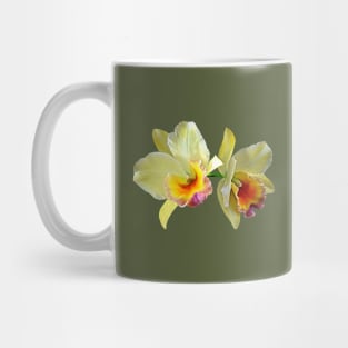 Pale Yellow Cattleya Orchids Mug